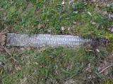 image of grave number 906860